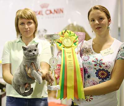 �������� ����� '���-�����-��������' 20-21 �������� 13-268-169A2432 copy.jpg